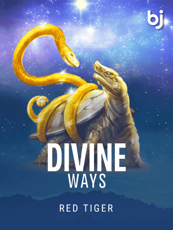 DivineWayspng game cover